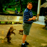 Tim Gard Blog - Monkey