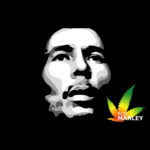 Tim Gard Blog - Ganja
