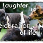 Tim Gard Monday Motivation Meme - Laughter