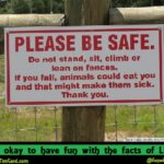 Fences Sign