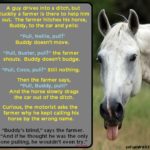 Tim Gard Joke of the Day - Buddy the Horse