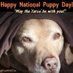 Tim Gard Meme - National Puppy Day