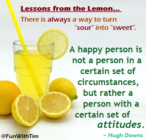 Tim Gard Meme - Lessons from the Lemon