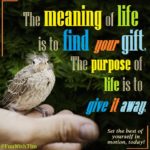 Tim Gard Meme - life meaning and purpose