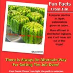 Tim Gard Meme - Square Watermelons